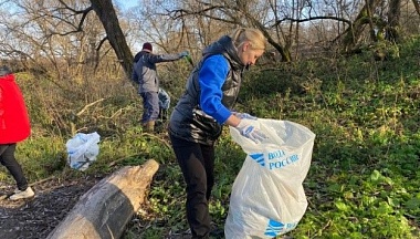 Жизнь в зелёном цвете