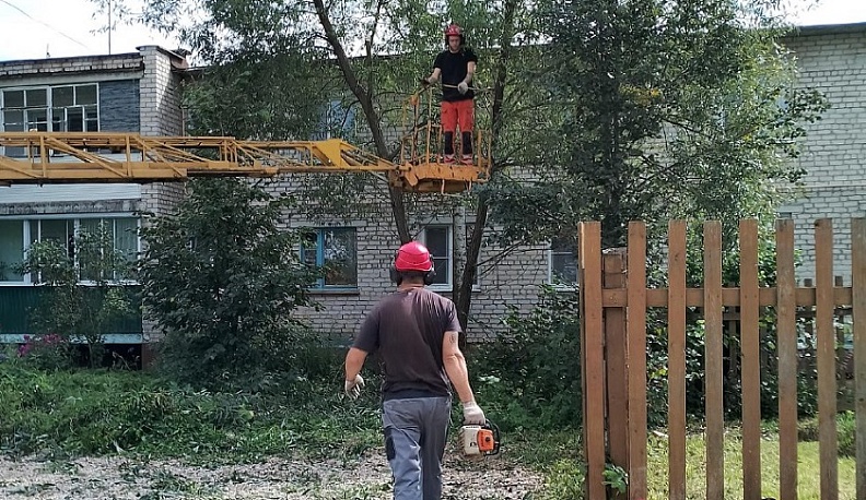 В Боровском районе после жалобы в интернете опилили деревья