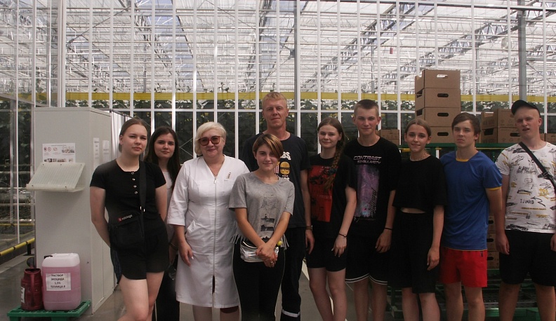 Студенты Кировского педколледжа трудятся на «Агро-Инвесте» в Людинове