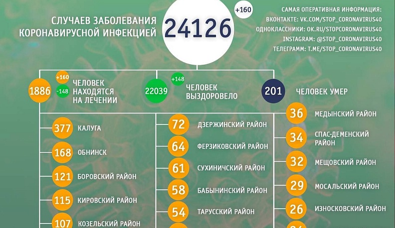 В Калужской области количество заражений ковидом перешагнуло 24 тысячи