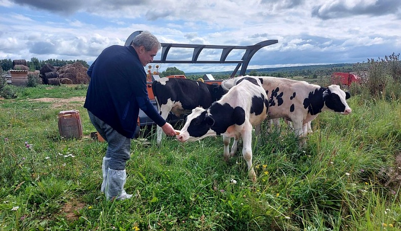 Идеи для людей