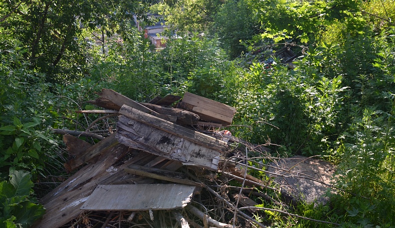 Погребённые  под мусором