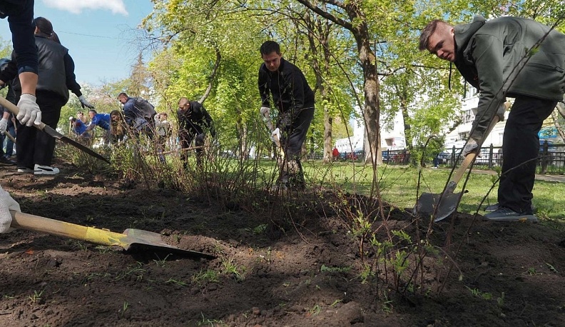 В Калуге высадили спиреи в рамках акции «Сад Памяти»