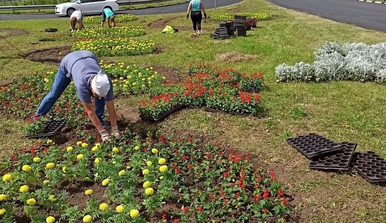 «Звёзды» и коптеры