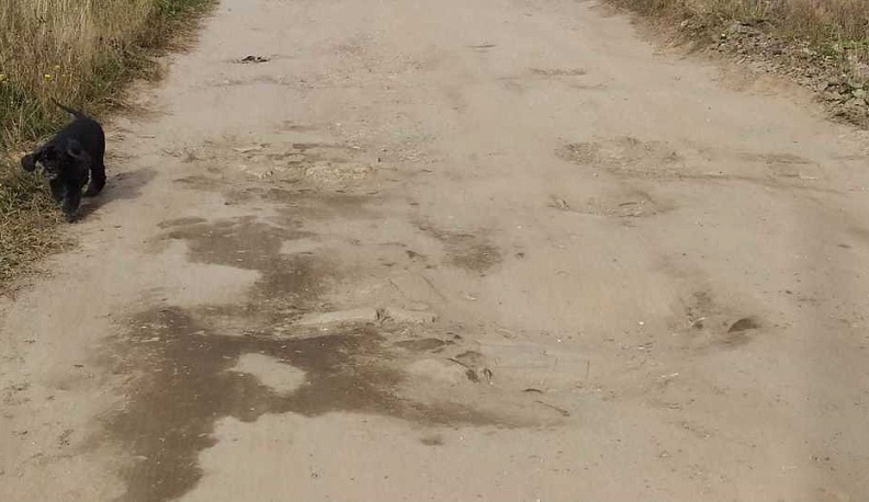 В Калуге ведущая к домам многодетных семей дорога оказалась в частной собственности