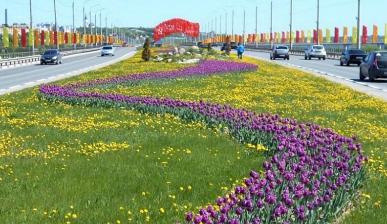 Весной в Калуге зацветут тюльпаны и виолы