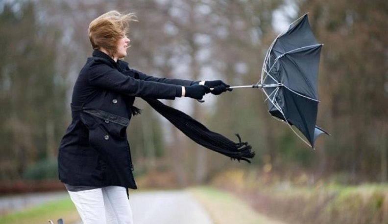 МЧС предупреждает калужан об усилении ветра 6 ноября