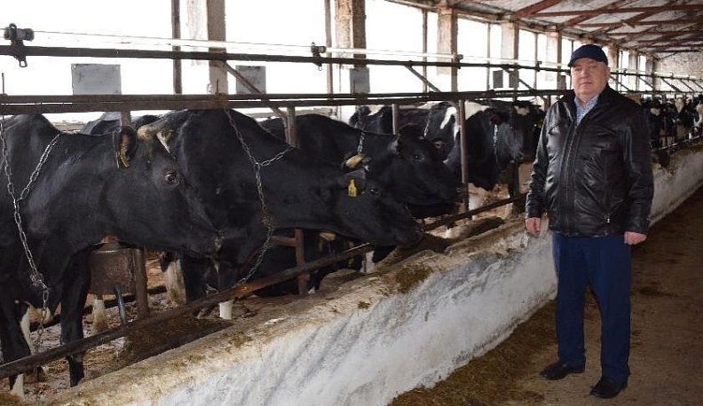 Бурёнкам стресс не нужен