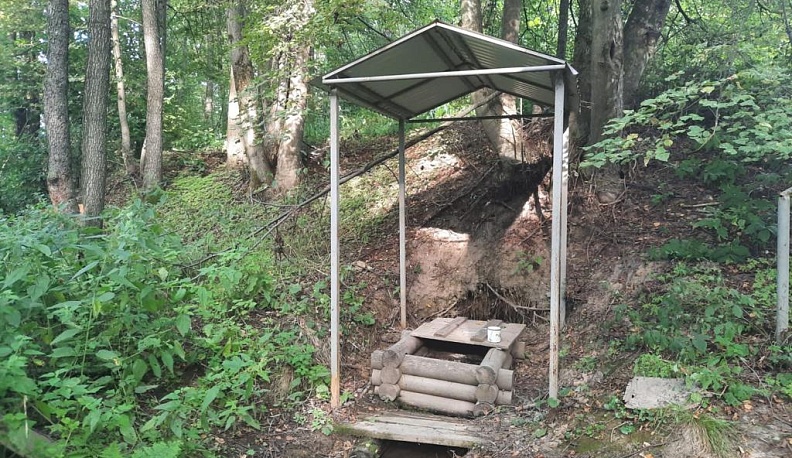 Школьница из Думиничского района победила в конкурсе «Родники калужского края»