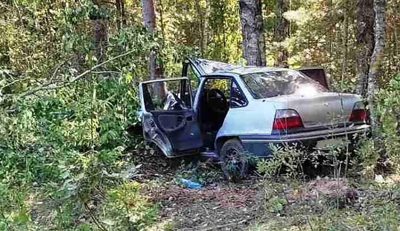 В Кировском районе иномарка влетела в дерево