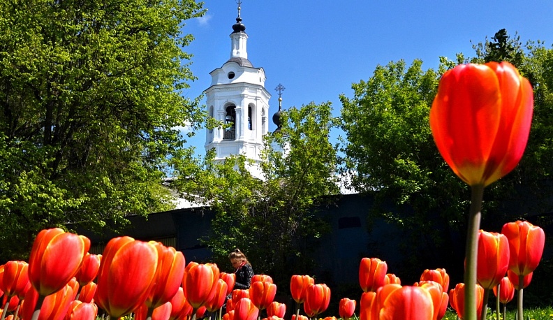 В Калужской области на этой неделе будет тепло