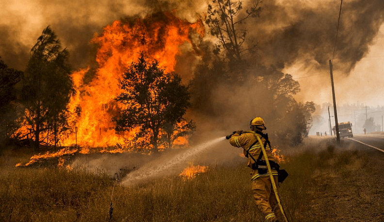 В Калужской области начали готовиться к лесным пожарам