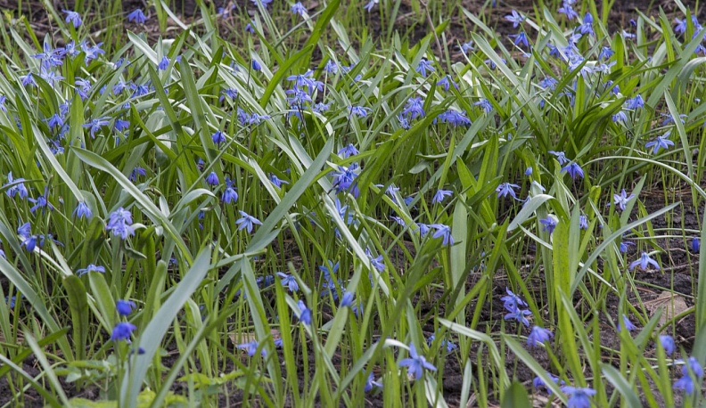 Снимки юных фотографов могут войти в третье издание Красной книги Калужской области