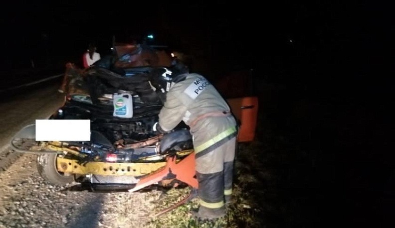 На трассе в Калужской области иномарка сбила корову и загорелась