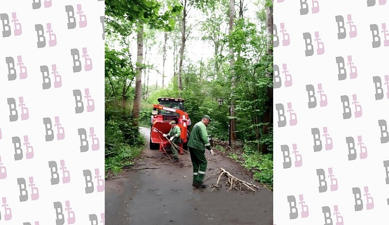 В Калуге начали расчищать от веток Губернский парк
