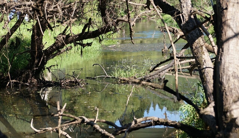 Реку Лужу в Калужской области начнут расчищать в июне