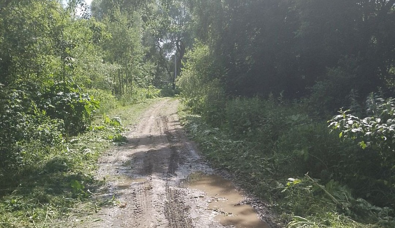 В Бабынинском районе впервые за год покосили заросшую дорогу