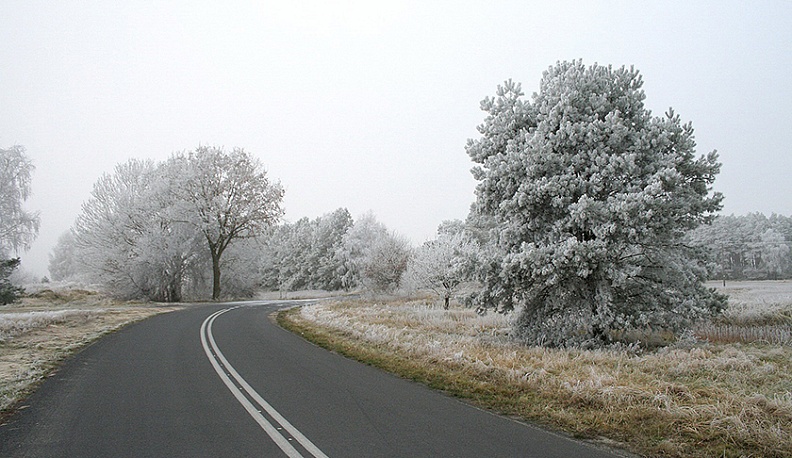 К вечеру в Калугу придет небольшое похолодание