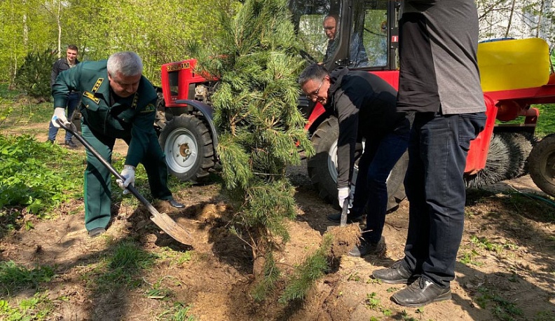 Более 20 посадок деревьев в рамках акции «Сад Памяти» проведут в Калужской области до конца недели