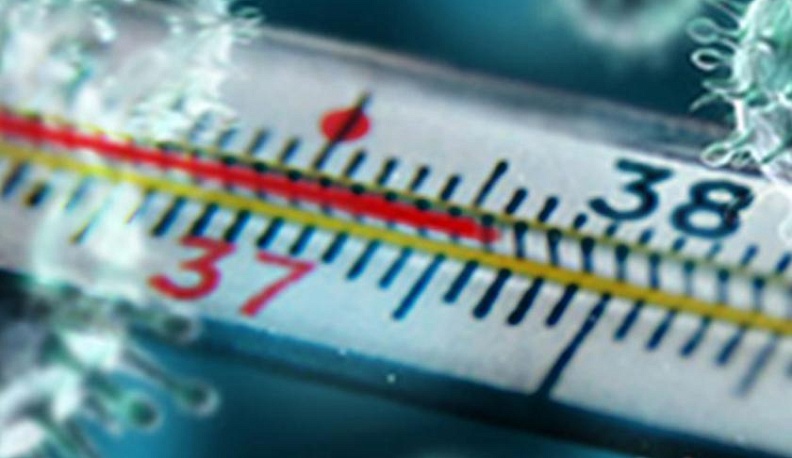 Ученые наукограда разработали препарат для предупреждения развития вирусной пневмонии