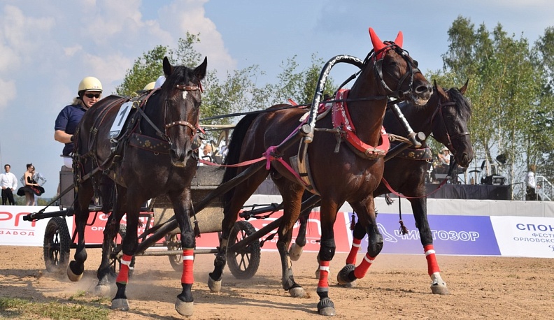 В Тарусском районе прошёл фестиваль орловского рысака