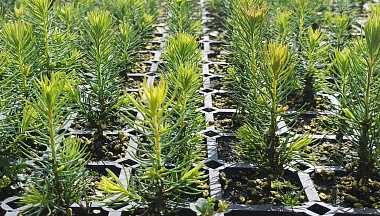 Растёт наш «зелёный» рейтинг