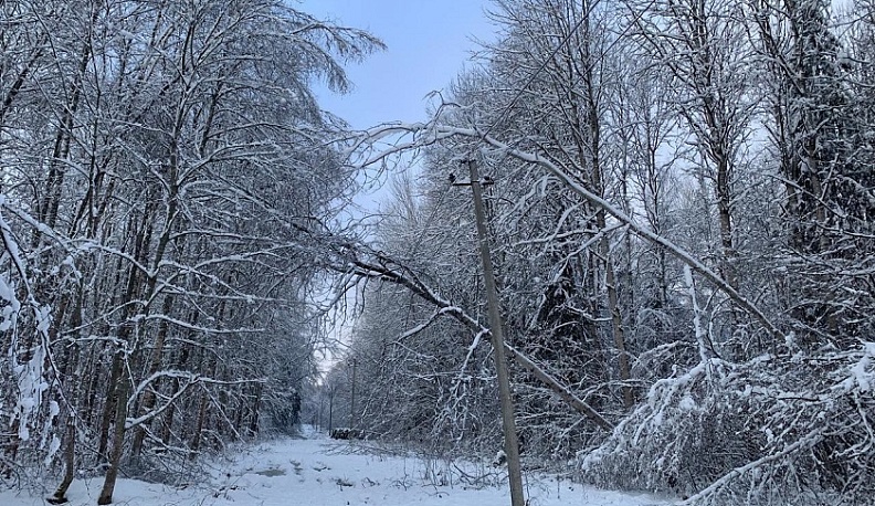 В Калужской области подвели итоги ликвидации последствий двух циклонов