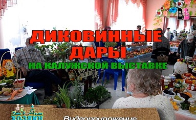 КТО В ДОМЕ ХОЗЯИН. Диковинные плоды на Калужской выставке