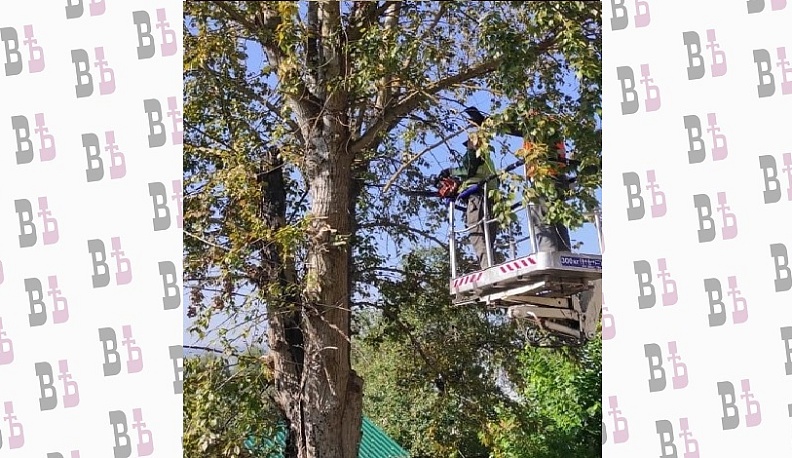 В Калуге продолжают ликвидировать последствия непогоды