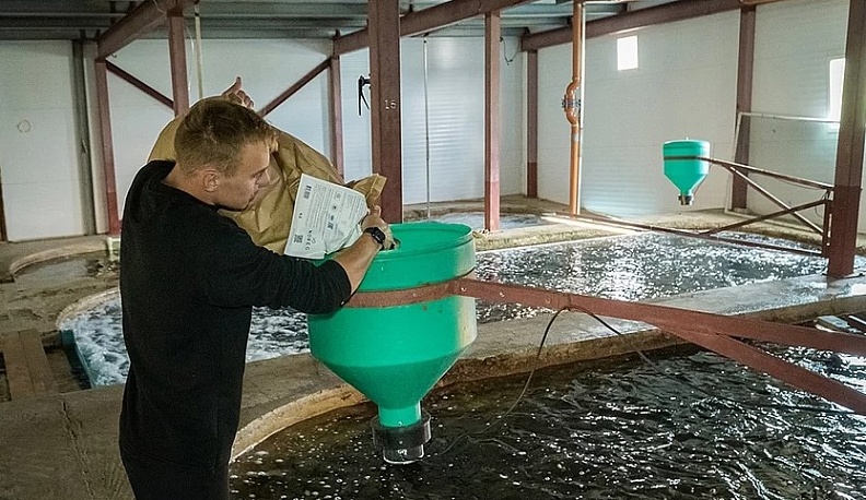 Предприниматель из Сухиничей получил от региона грант на развитие лососевой фермы