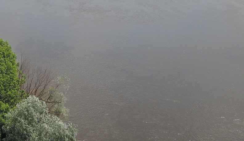 Водоем в Калужской области объявлен памятником природы