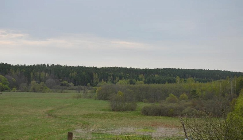 «Космический» академик с берега Рессы