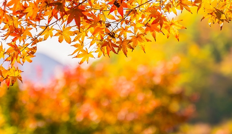 «Белкинскую осень» в Обнинске встретят романсами и советскими песнями