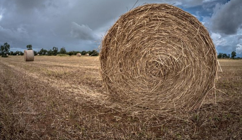 Новые технологии и современная техника позволяют аграриям работать эффективно