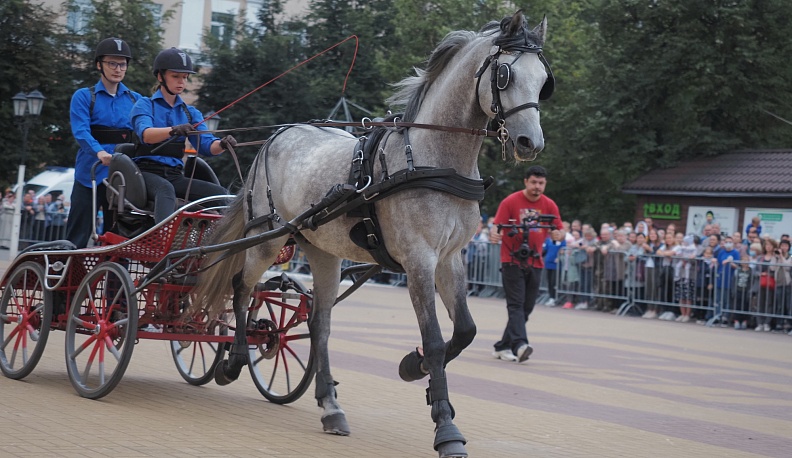 Шоу Орловских рысаков и конных экипажей открыло VIII театральный фестиваль в Калуге