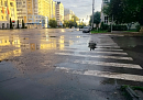 В рамках нацпроекта «Инфраструктура для жизни» на калужских дорогах установили шесть проекционных пешеходных переходов В рамках нацпроекта «Инфраструктура для жизни» на калужских дорогах установили шесть проекционных пешеходных переходов