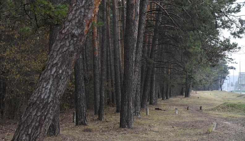 Здоровы ли лёгкие Калуги?
