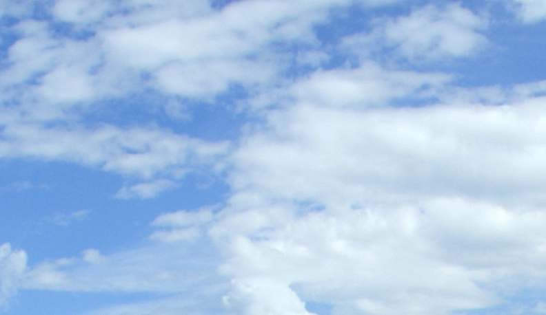 На окраине Калуги был уничтожен украинский БПЛА