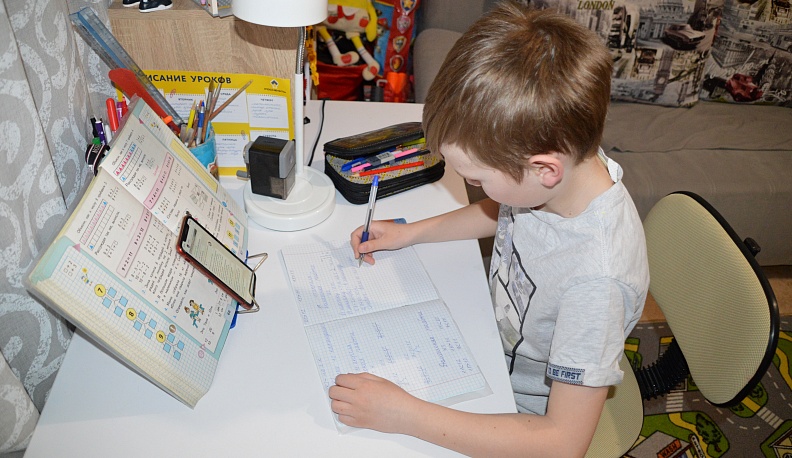 УЧАТ В ШКОЛЕ… НА ДОМУ 