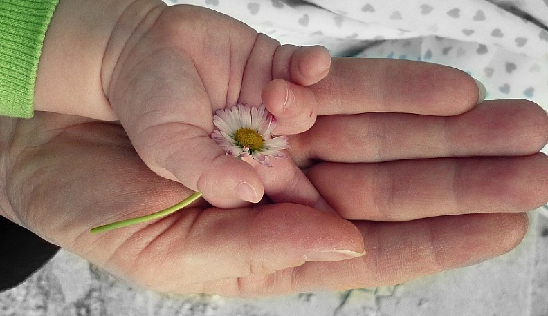 В Калужской области выплату за рождение первого ребёнка получили более 5 тысяч семей