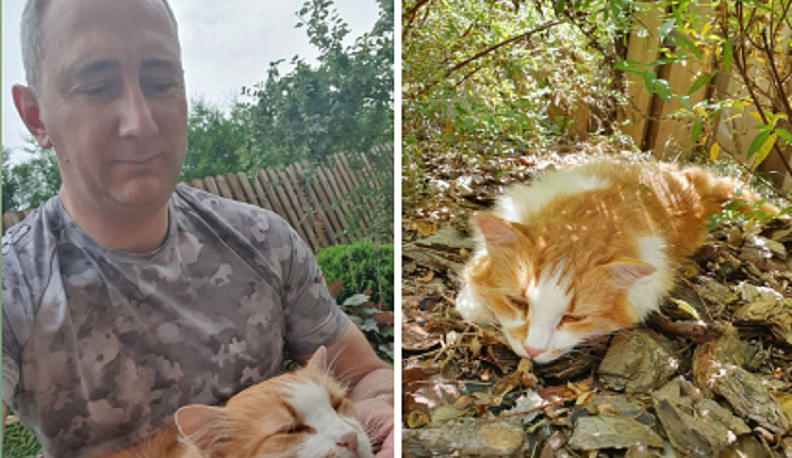 Владислав Шапша показал своего питомца