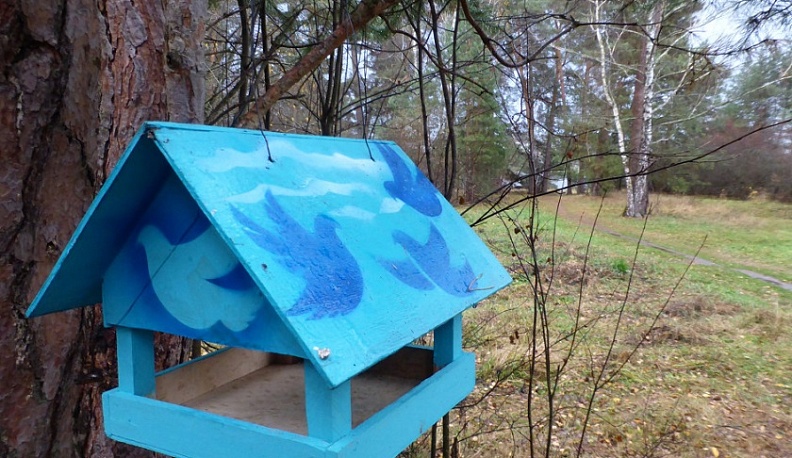 В Калуге проходит конкурс кормушек для птиц