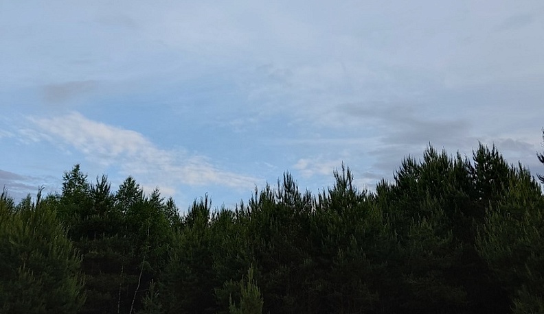 Хохуля и олень Олег помогут калужанам сажать молодые деревья