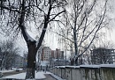Температура воздуха в Калуге опустится ниже -20°С Температура воздуха в Калуге опустится ниже -20°С