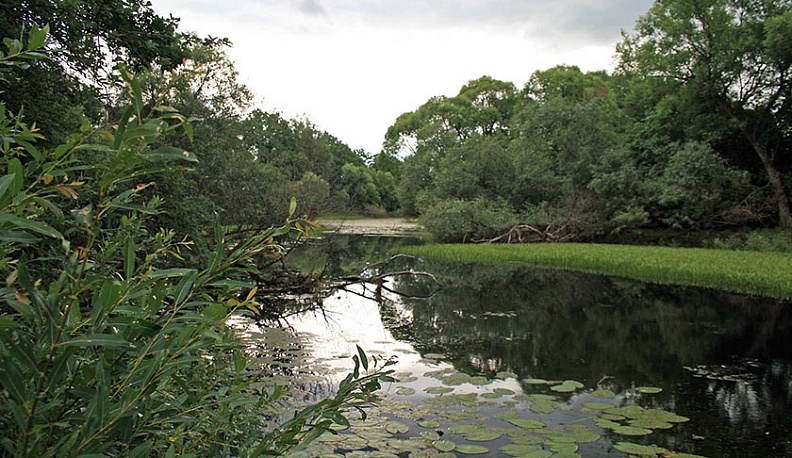 В понедельник по Калужской области стартует автопробег по малым рекам 