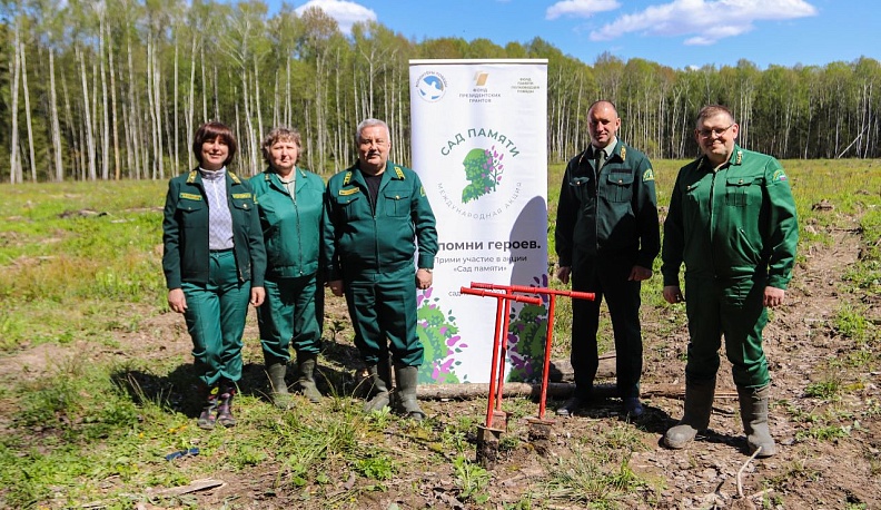 В Калужской области «Сад Памяти» стал больше на 167 тысяч деревьев