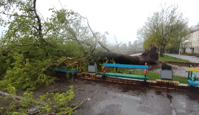 Шквалистый ветер повалил деревья и снес крыши в Людинове