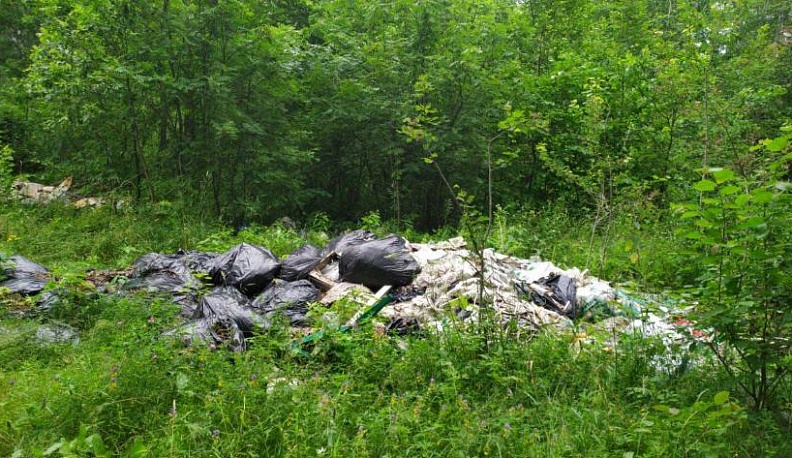 Калужане обнаружили в лесу у Верхней Вырки стихийную свалку