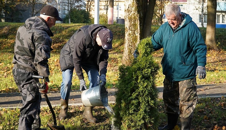 Больше 100 деревьев высадили добровольцы в Сухиничах