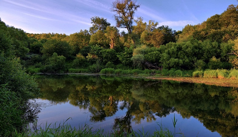 В Медынском районе в реке нашли тело исчезнувшего мужчины